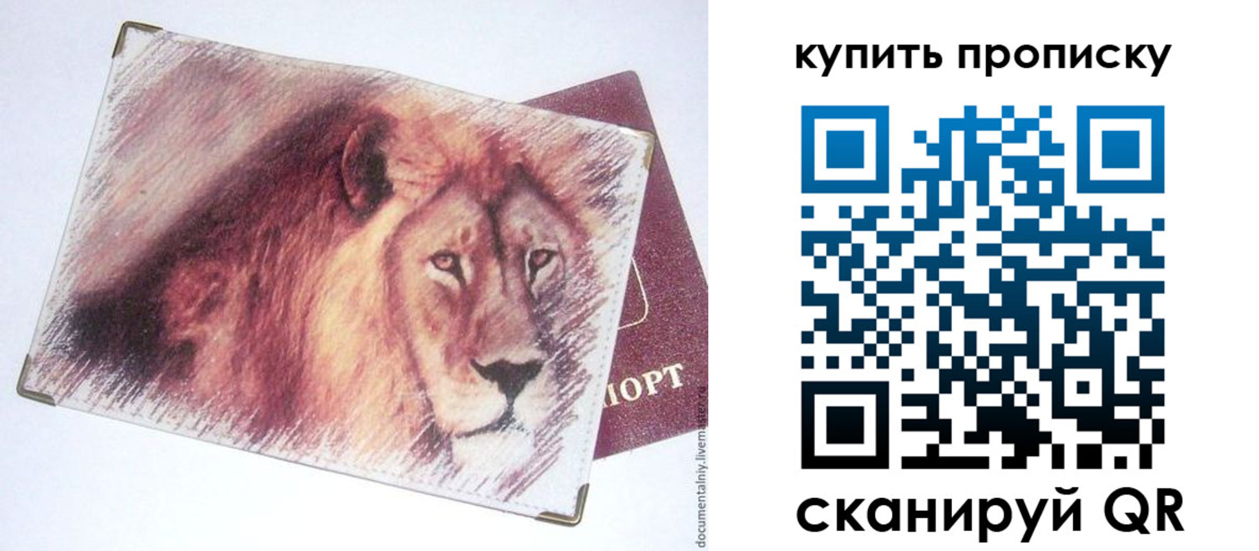 прописка паспорт в Липецке